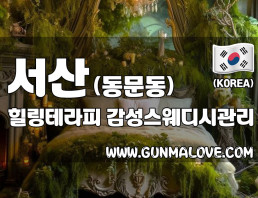 서산 동문동 [힐링테라피] 이미지