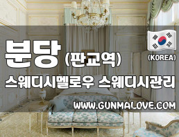 분당 판교역 [스웨디시멜로우] 이미지