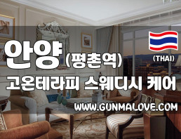 안양 평촌역 [고온테라피] 이미지