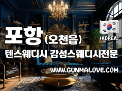 포항 오천읍 [텐스웨디시] 이미지