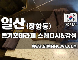 일산 장항동 [돈키호테라피] 이미지