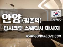 안양 평촌역 [탑시크릿] 이미지