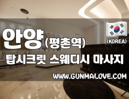 안양 평촌역 [탑시크릿] 이미지